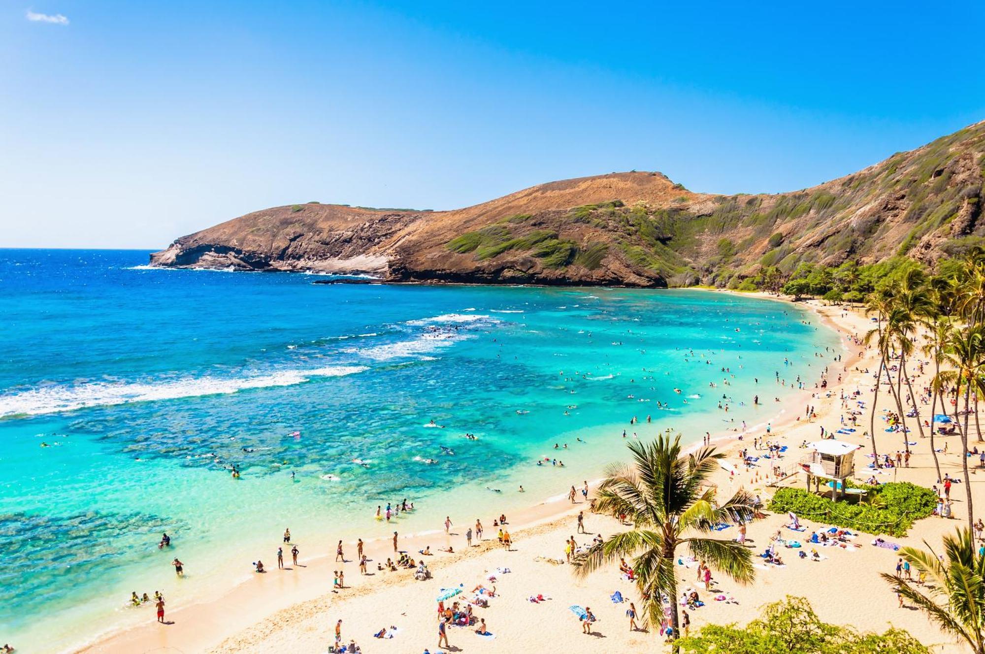 הונולולו Ocean & Diamond Head Views - Near Beach - Parking! מראה חיצוני תמונה